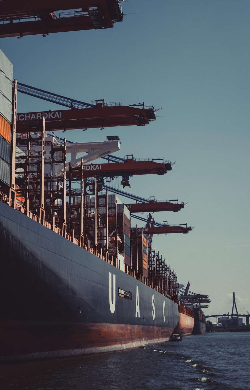 Container terminal, port cranes